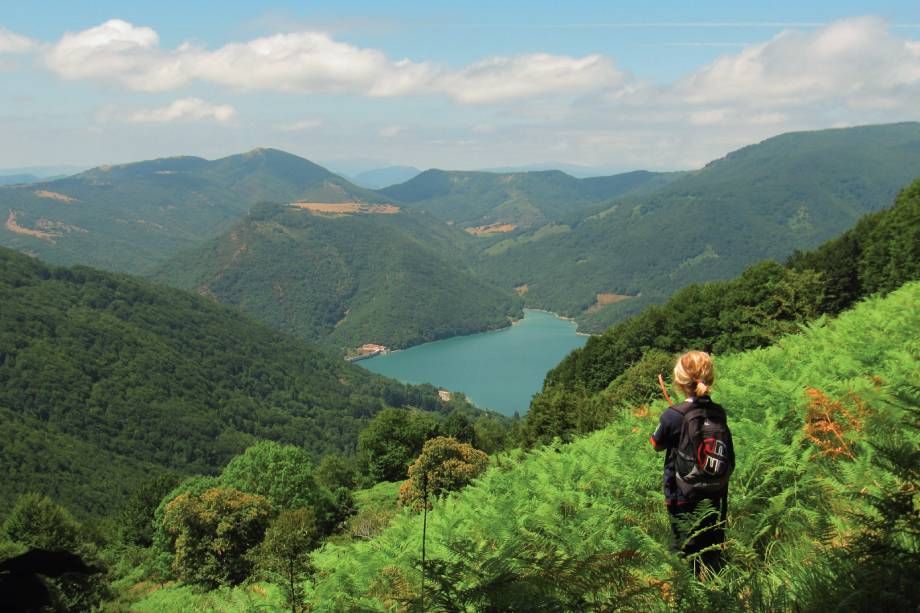 Visita Navarra